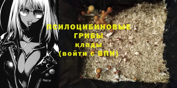 mdpv Беломорск