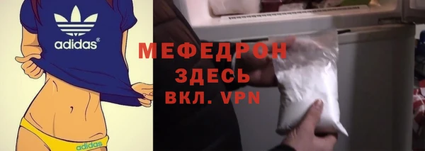 индика Березники