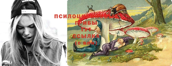 амфетамин Белокуриха