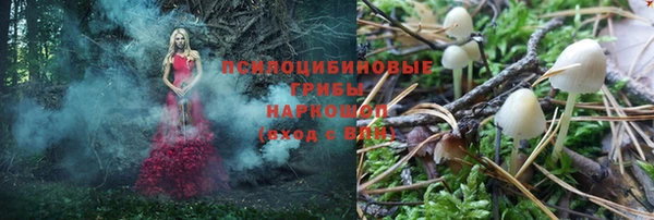 МДПВ Богданович