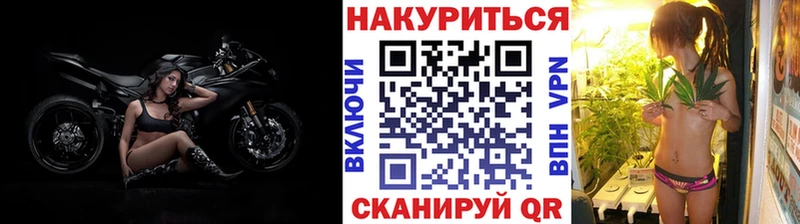 Конопля Bruce Banner  Гудермес 